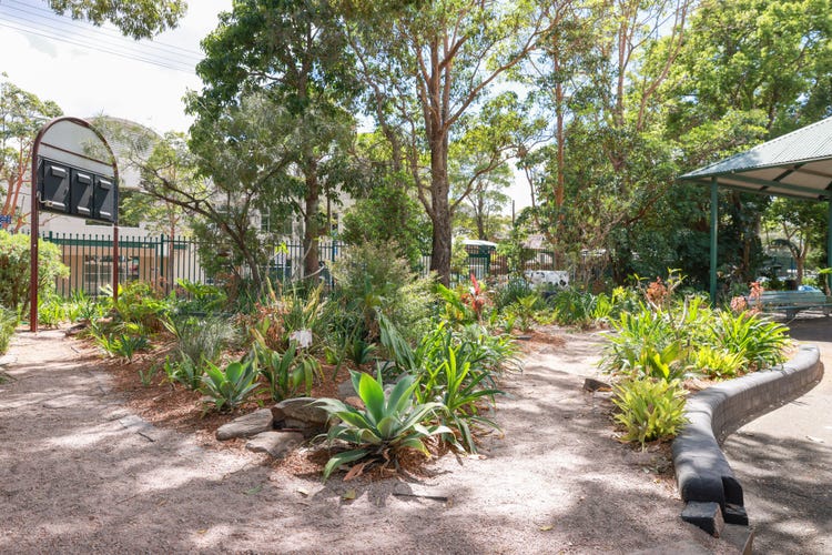 A picture of a thriving garden